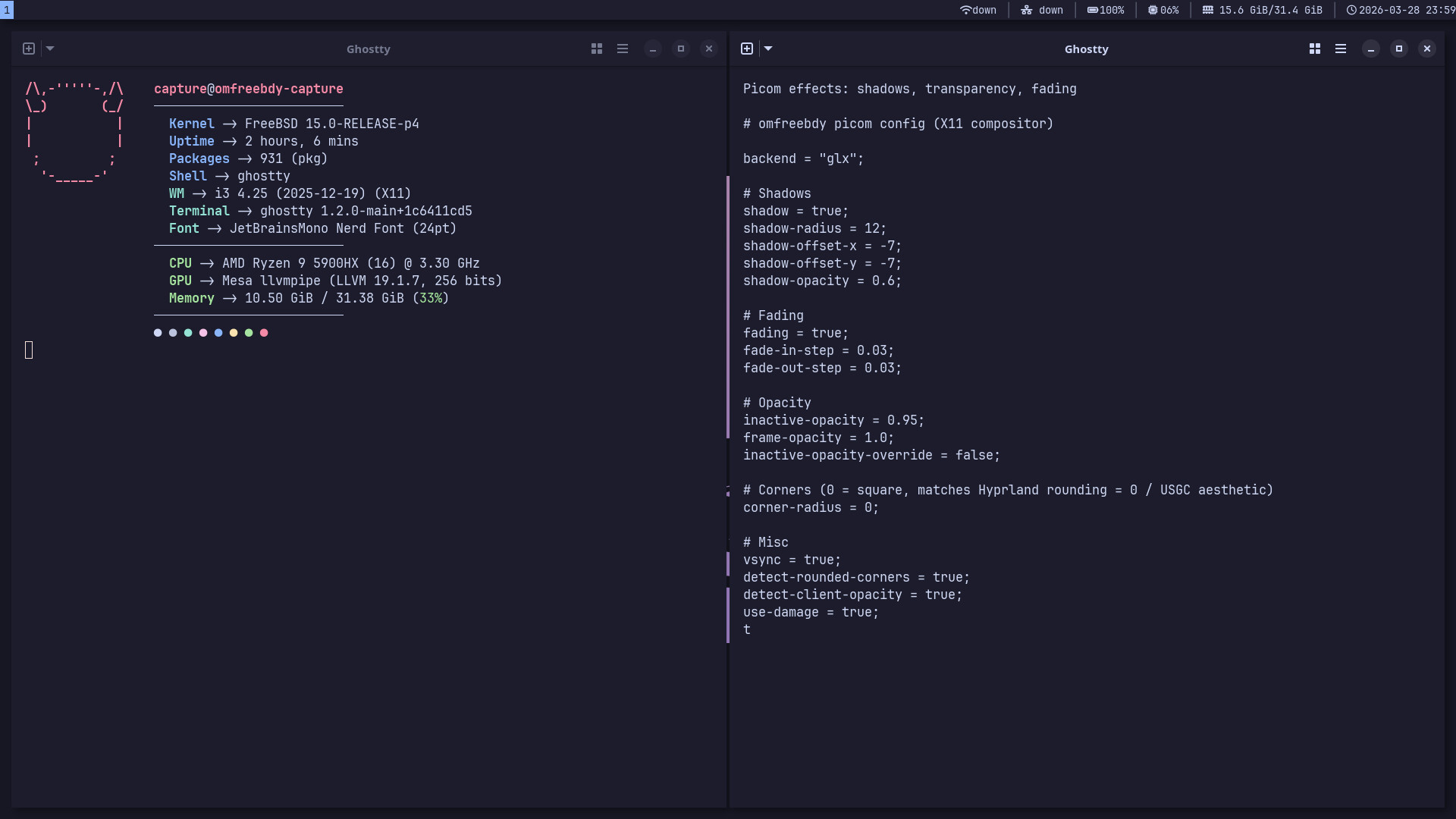 Overlapping windows showing picom shadows and transparency
