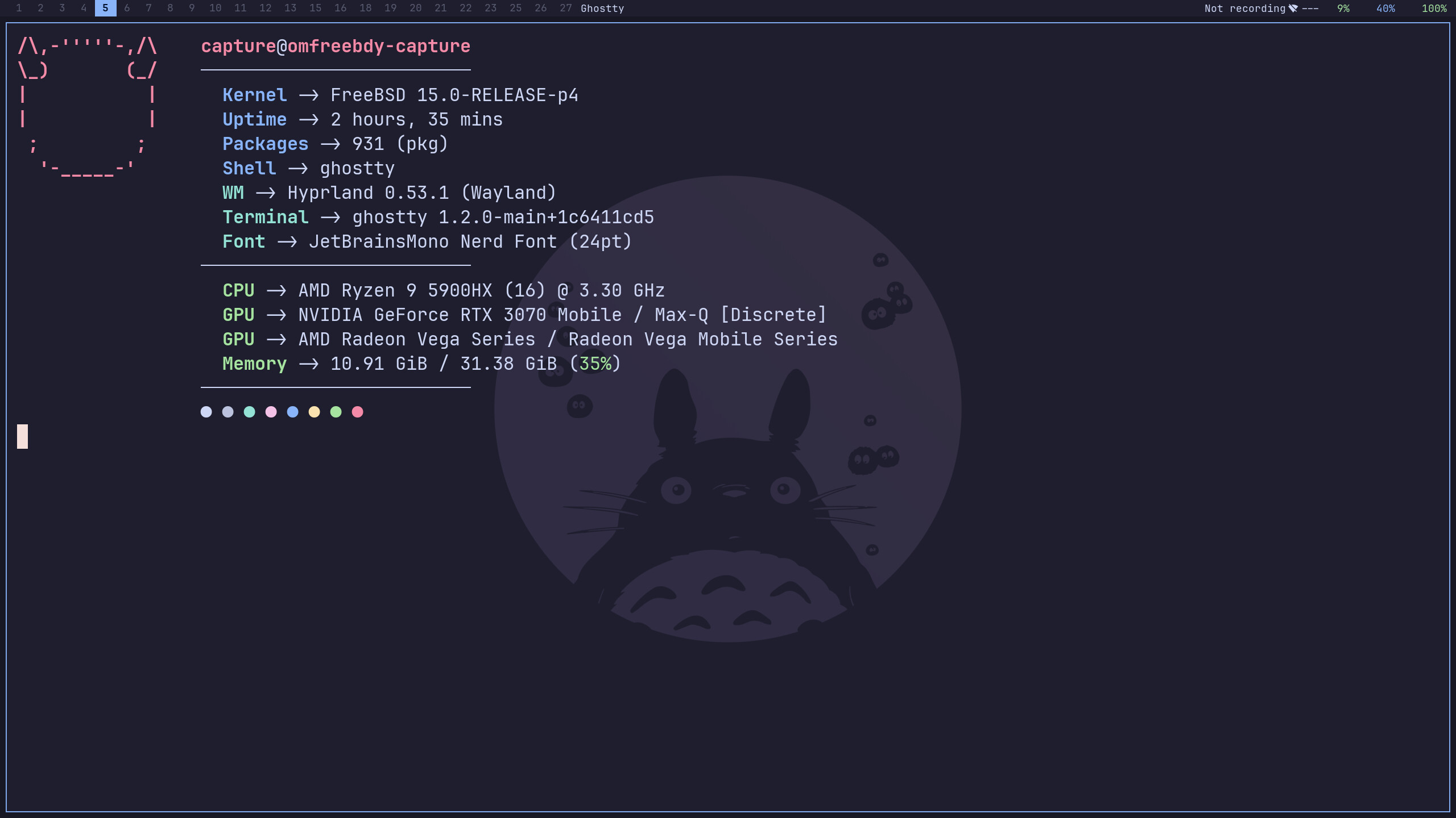 fastfetch system info output