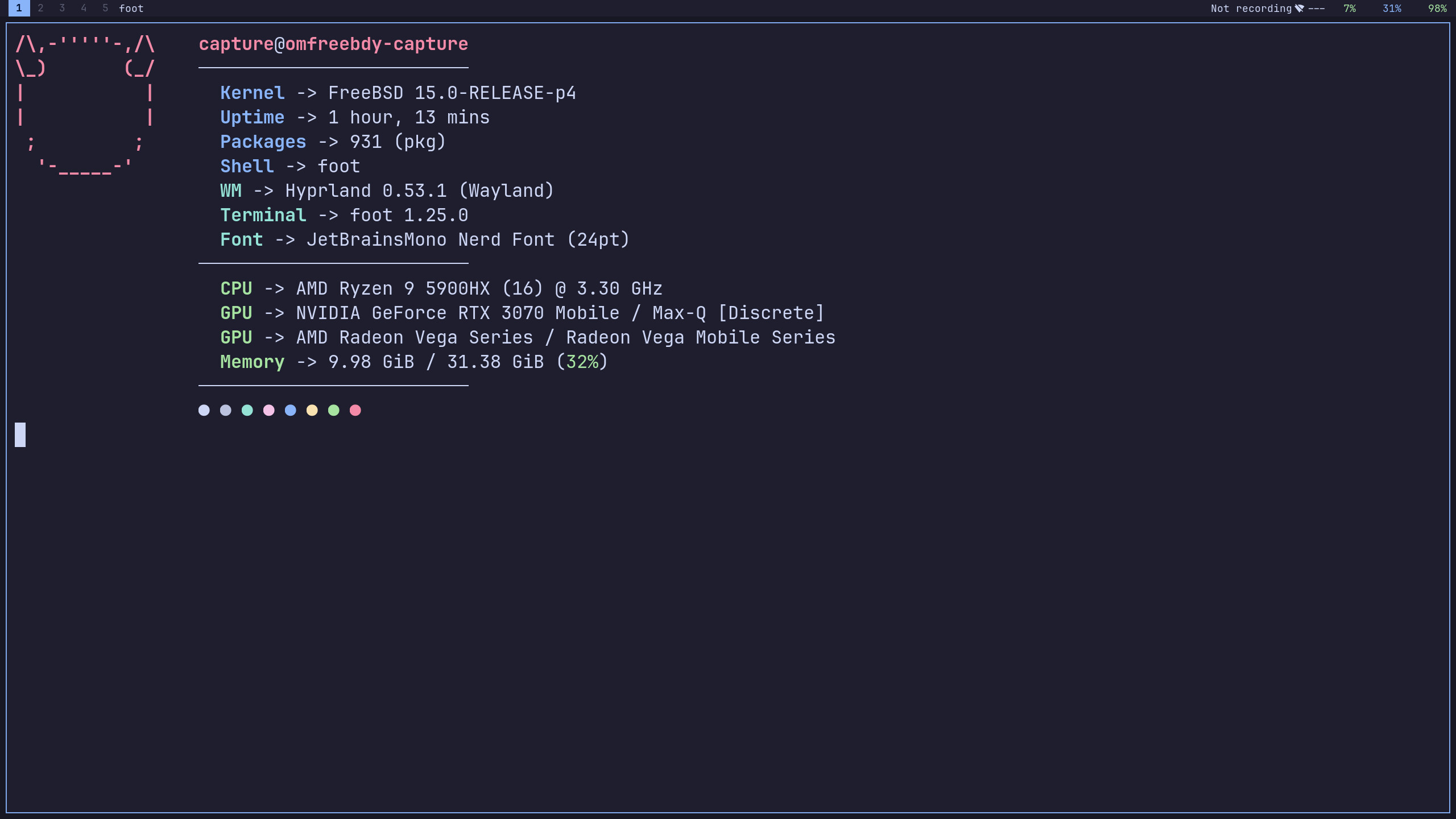 Foot terminal running fastfetch