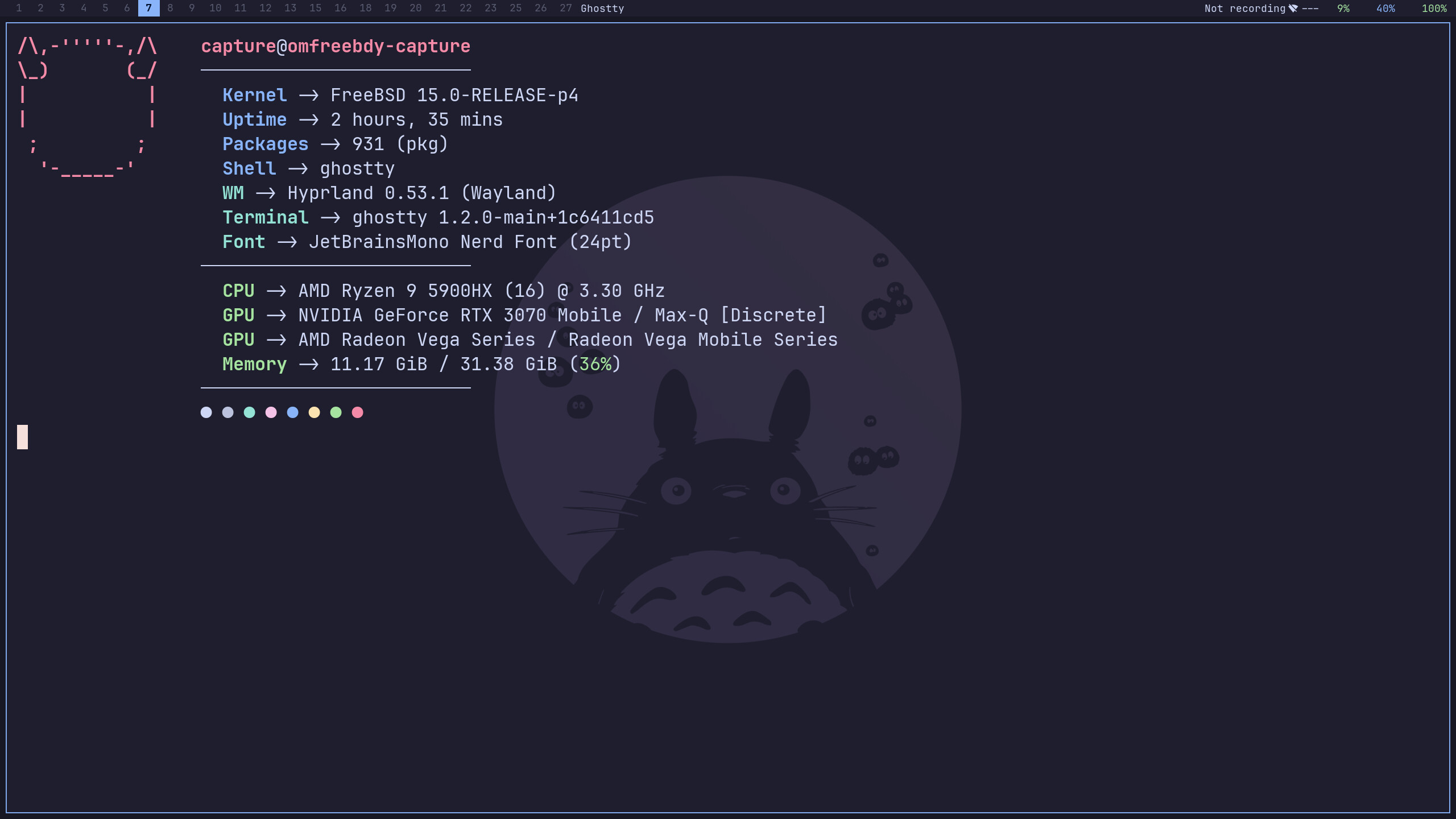 Ghostty running fastfetch