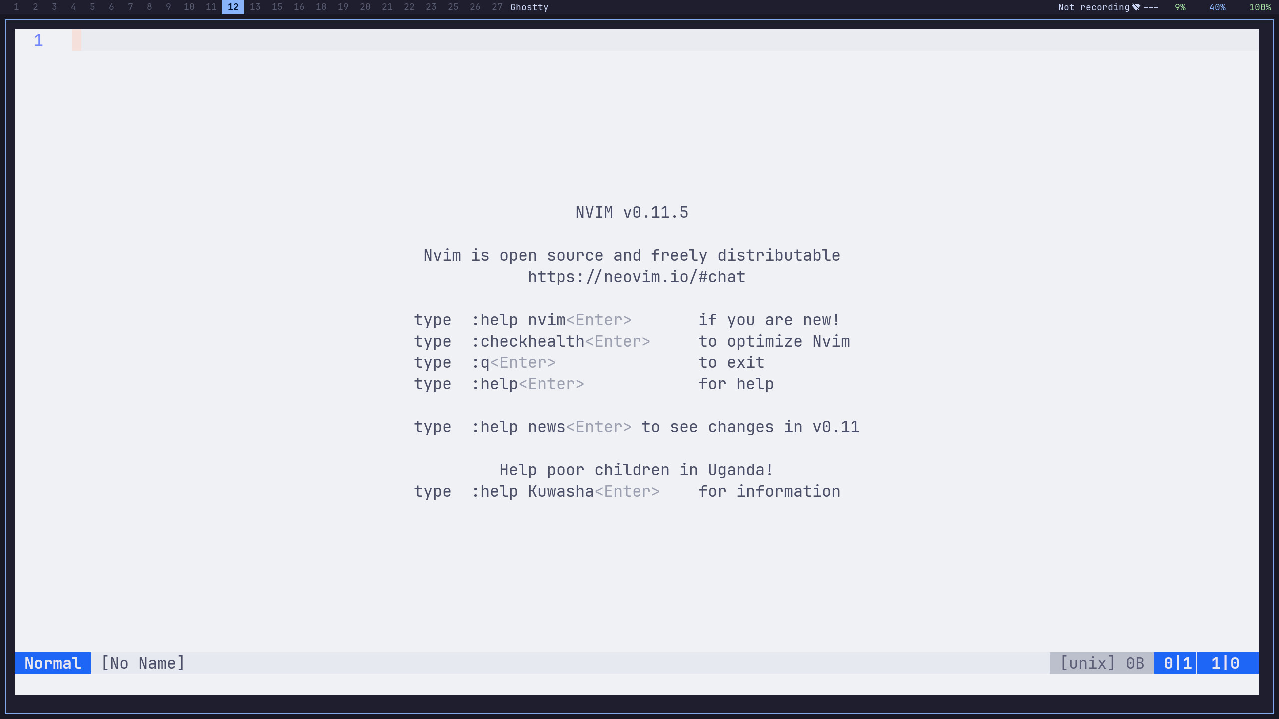 Neovim start screen