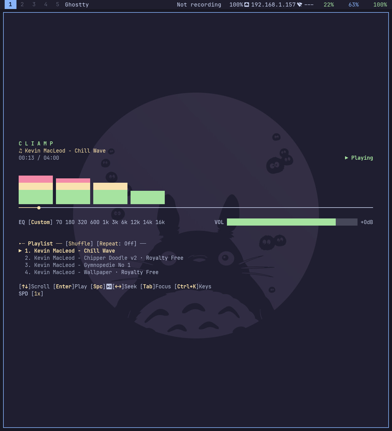 cliamp playing music with visualizer
